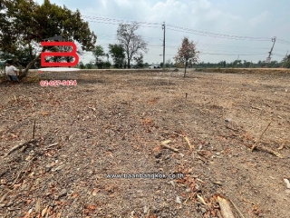 LINE_ALBUM_N9276ห่างจากถนน340วัดราษฎร์นิยม0.7km1400ตรว ยะ_240506_11