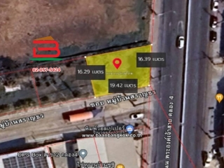 56486416