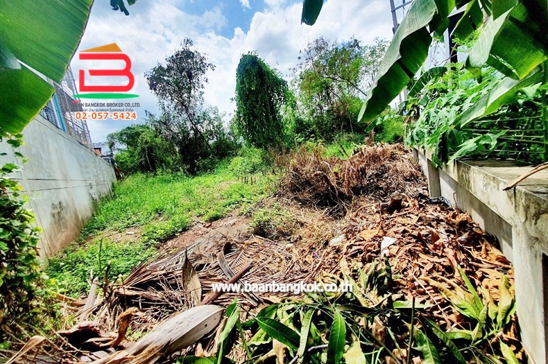 LINE_ALBUM_N.09480 LD 578.6 ตร.ว. นครราชสีมา_240701_13