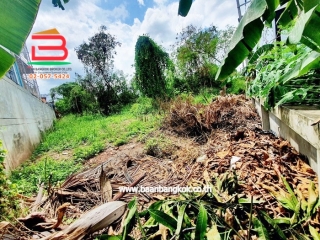 LINE_ALBUM_N.09480 LD 578.6 ตร.ว. นครราชสีมา_240701_13