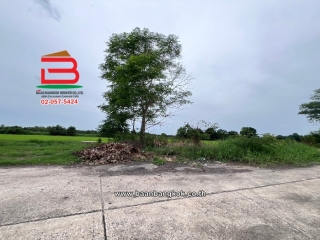 LINE_ALBUM_No.09702 ที่ดินหนองเสือ ค.13_240730_1