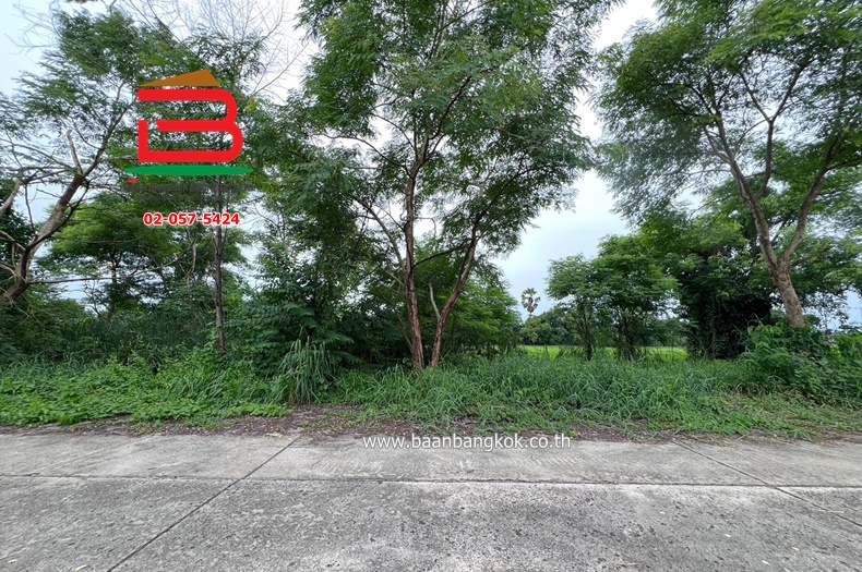 3-LINE_ALBUM_No.09700 ที่ดินหนองเสือ ค.13_240730_113