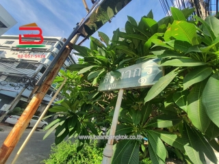 LINE_ALBUM_No.09781 ที่ดินเปล่า ใกล้ตลาดบองมาร์เช่_240902_12