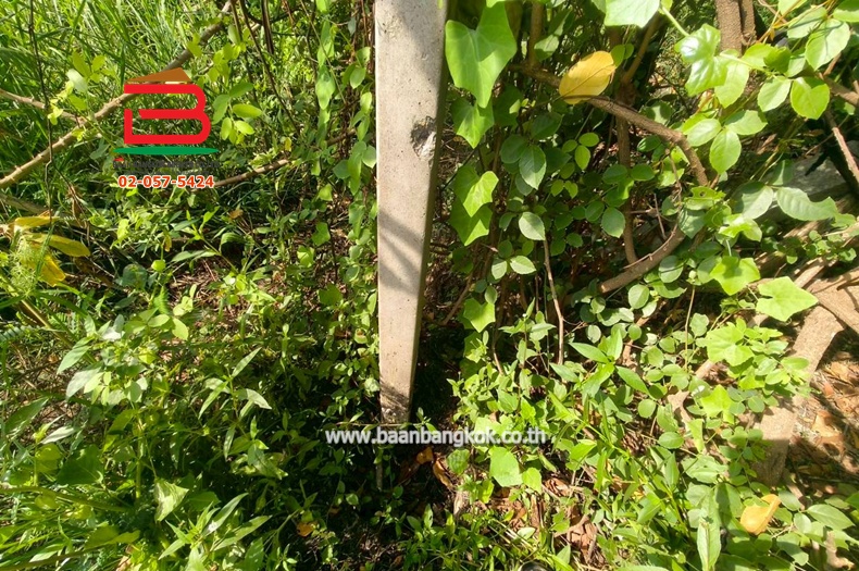 LINE_ALBUM_L.11463ที่ดิน110วานิมิตรใหม่62Lek_260127_36