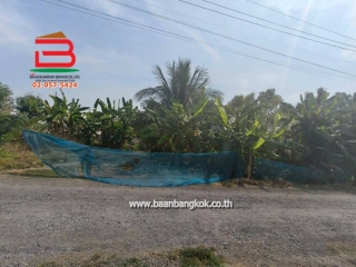 LINE_ALBUM_L.11463ที่ดิน110วานิมิตรใหม่62Lek_260127_39