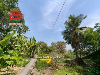 LINE_ALBUM_L.11463ที่ดิน110วานิมิตรใหม่62Lek_260127_38