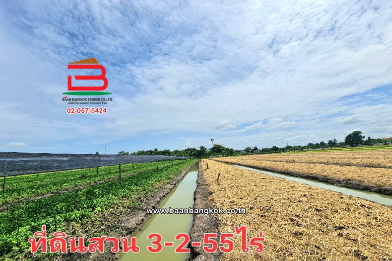 LINE_ALBUM_09821ที่ดิน3-2-55ไร่ซ.สวนผัก(100ไร่) ต.บางบัวทอง_240909_9