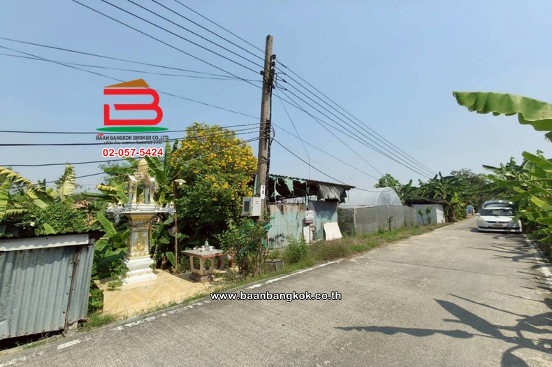 LINE_ALBUM_No.11691 LD.ซอยสวนผัก(100 ไร่) 3-2-55 ไร่(เอ๋)_260223_3