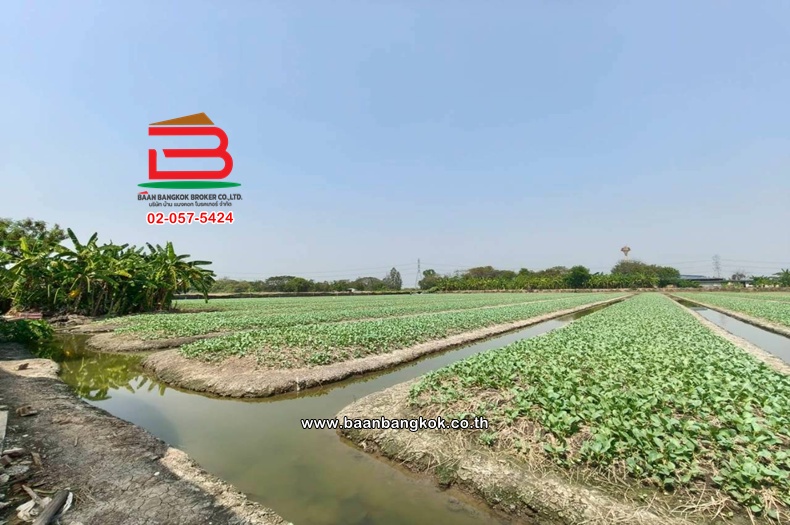 LINE_ALBUM_No.11691 LD.ซอยสวนผัก(100 ไร่) 3-2-55 ไร่(เอ๋)_260223_4