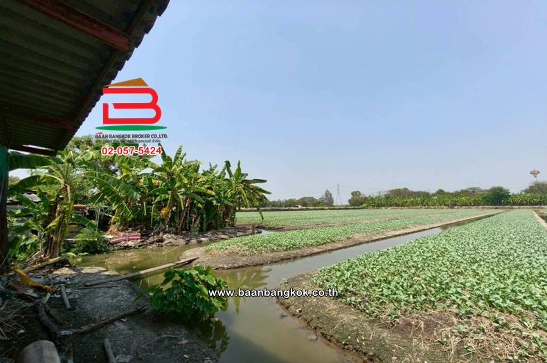 LINE_ALBUM_No.11691 LD.ซอยสวนผัก(100 ไร่) 3-2-55 ไร่(เอ๋)_260223_5