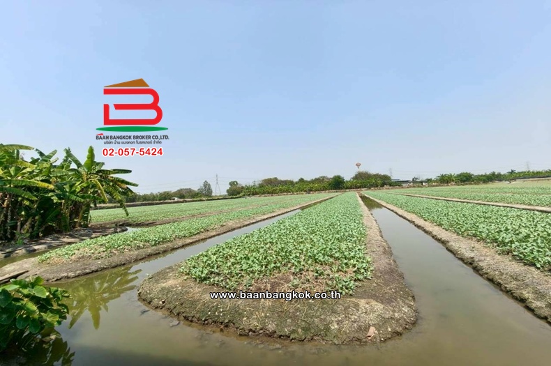 LINE_ALBUM_No.11691 LD.ซอยสวนผัก(100 ไร่) 3-2-55 ไร่(เอ๋)_260223_6