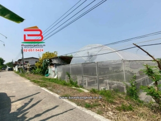 LINE_ALBUM_No.11691 LD.ซอยสวนผัก(100 ไร่) 3-2-55 ไร่(เอ๋)_260223_2