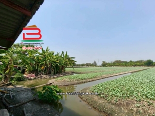 LINE_ALBUM_No.11691 LD.ซอยสวนผัก(100 ไร่) 3-2-55 ไร่(เอ๋)_260223_5