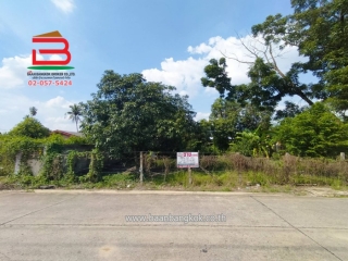09877, ที่ดินเปล่า เนื้อที่ 60 ตรว. หนองเสือ คลอง8 (บึงบอน ซ.16) จ.ปทุมธานี