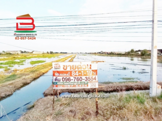 11167, ที่ดินเปล่า ถนนเลียบตะวันออกคลอง 7, เทศบาลลำลูกกา ซอย 3 เนื้อที่ 84-1-19 ไร่ ตำบลลำลูกกา อำเภอลำลูกกา จังหวัดปทุมธานี  