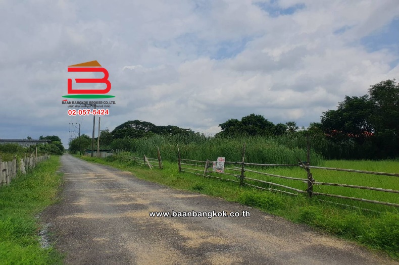 LINE_ALBUM__09719 ที่ดิน 422ตรว.ราษฎร์อุทิศ70_241007_21