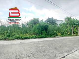 09908, ที่ดินเปล่า ซ.เพชรเกษม 77 เนื้อที่ 70 ตรว. ถนนเพชรเกษม แขวงหนองแขม เขตภาษีเจริญ กรุงเทพฯ