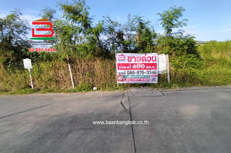 timeline_20241201_145249