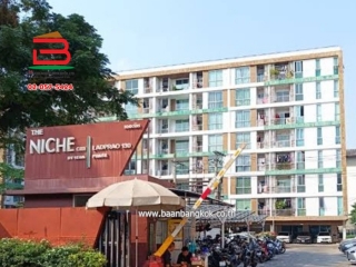 3-LINE_ALBUM_10180คอนโดเดอะนิชซิตี้อาคารAซ.ลาดพร้าว130_241220_3313