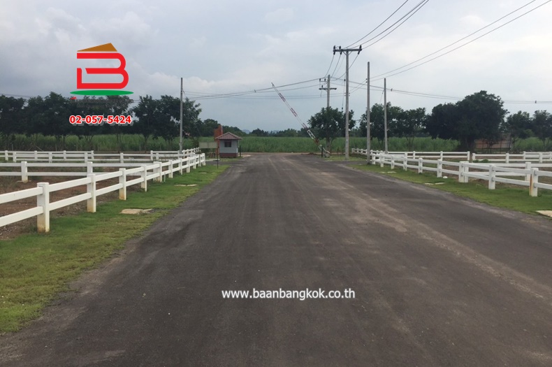 3-LINE_ALBUM_N.10251ที่ดิน64ตรวเดอะสกายปากช่อง_250106_2113