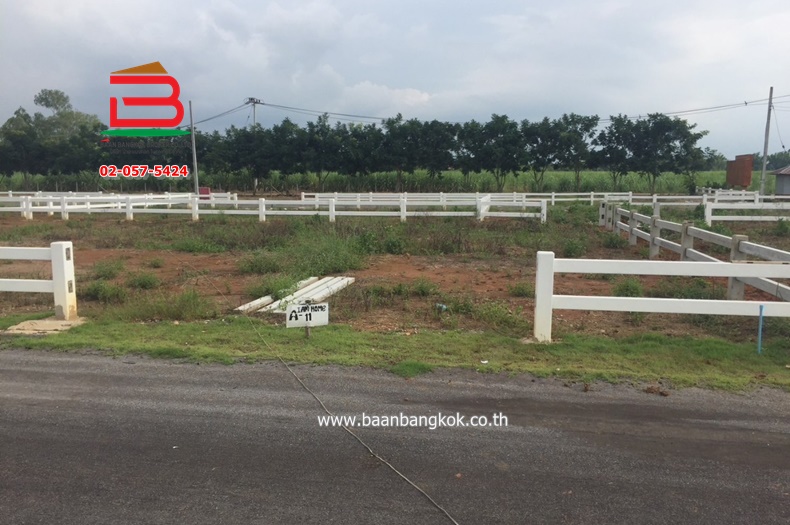 3-LINE_ALBUM_N.10251ที่ดิน64ตรวเดอะสกายปากช่อง_250106_1113