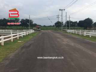3-LINE_ALBUM_N.10251ที่ดิน64ตรวเดอะสกายปากช่อง_250106_2113