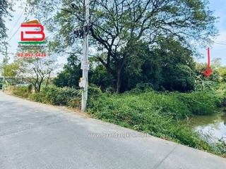 10033, ที่ดินเปล่า บ้านงิ้วซอย15 (ซ.สวนมะม่วง) เนื้อที่ 103 ตรว. ถนนติวานนท์ ตำบลบ้านงิ้ว อำเภอสามโคก จังหวัดปทุมธานี
