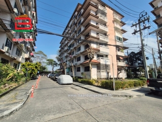 3-LINE_ALBUM_No . 10271_250120_213
