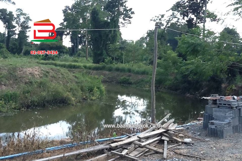 3-LINE_ALBUM_No.10297ที่ดิน+บ้าน1ไร่10ตร.ว(บ้านโคกคอมสระบุรี)_250121_613
