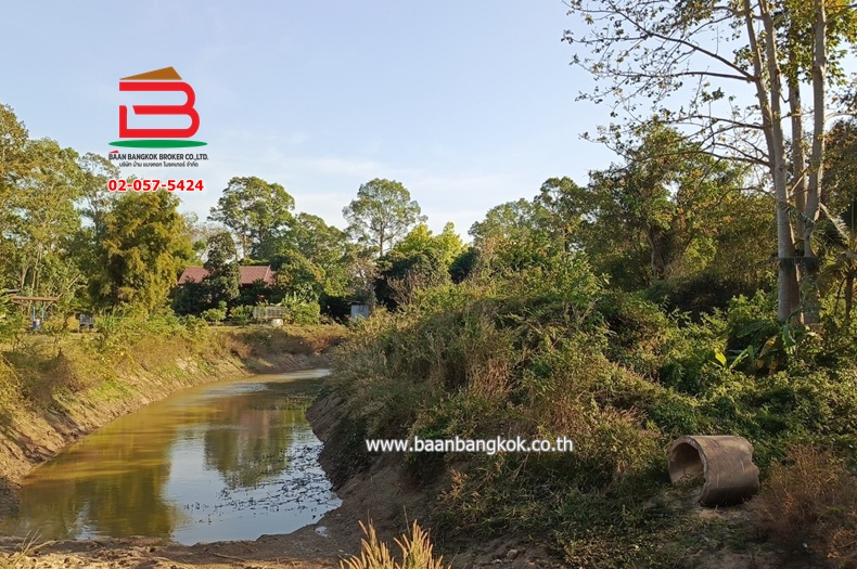 3-LINE_ALBUM_No.10297ที่ดิน+บ้าน1ไร่10ตร.ว(บ้านโคกคอมสระบุรี)_250121_713