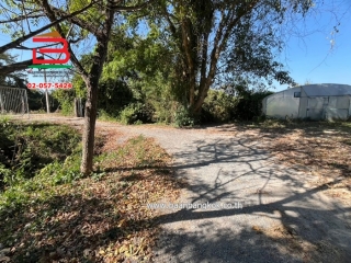 3-LINE_ALBUM_No.10297ที่ดิน+บ้าน1ไร่10ตร.ว(บ้านโคกคอมสระบุรี)_250121_1613