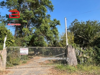 3-LINE_ALBUM_No.10297ที่ดิน+บ้าน1ไร่10ตร.ว(บ้านโคกคอมสระบุรี)_250121_1713