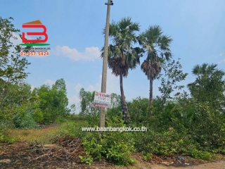 11504, 11505, ที่ดินเปล่า หมู่บ้าน อริสรา ลาดบัวหลวง เนื้อที่ 1-0-35 ไร่ ถนนบางบัวทอง-สุพรรณบุรี อ.ลาดบัวหลวง จ.อยุธยา