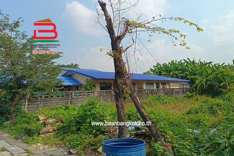 LINE_ALBUM_No.10351_250210_10