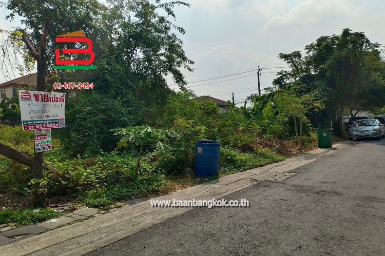 LINE_ALBUM_No.10351_250210_12