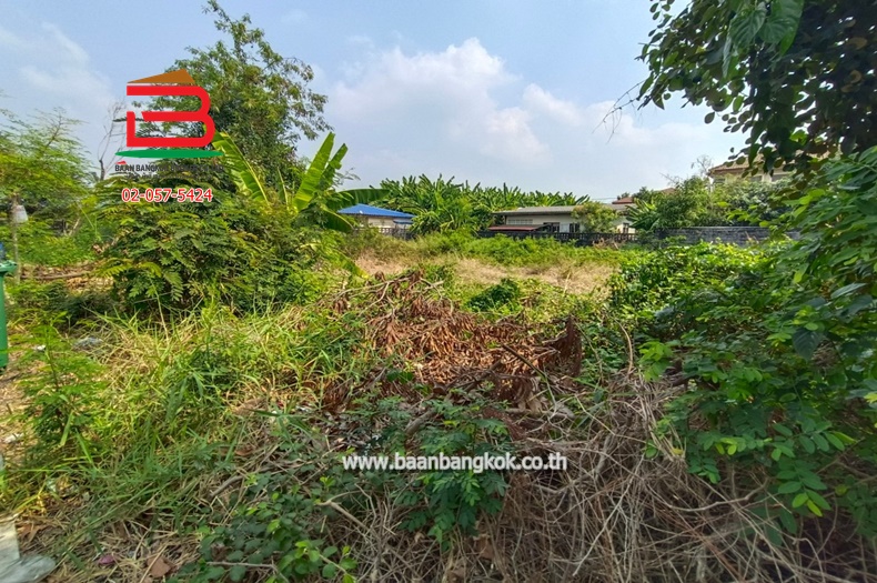 LINE_ALBUM_No.10351_250210_8