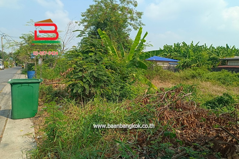LINE_ALBUM_No.10351_250210_9