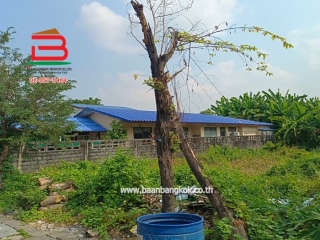 LINE_ALBUM_No.10351_250210_10
