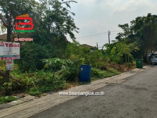 LINE_ALBUM_No.10351_250210_12