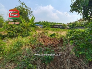 LINE_ALBUM_No.10351_250210_8