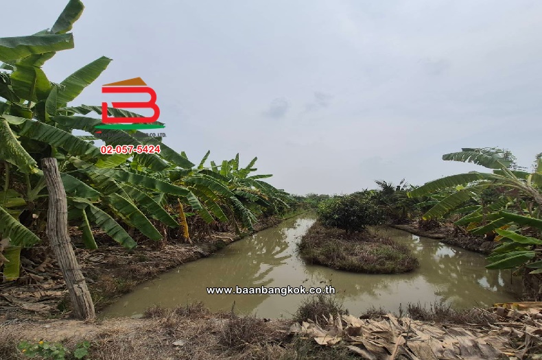 LINE_ALBUM_2025.2.24_250224_7