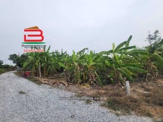 LINE_ALBUM_2025.2.24_250224_13