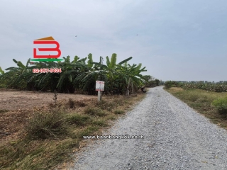 LINE_ALBUM_2025.2.24_250224_5