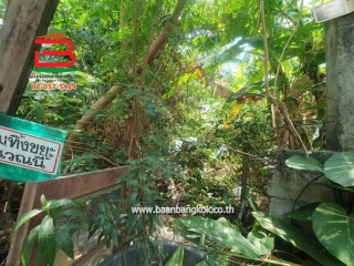 LINE_ALBUM__10205ที่ดิน73ตรว.อ่อนนุช70แยก3_250315_22