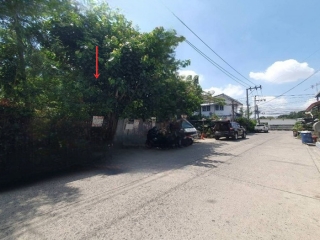 LINE_ALBUM__10205ที่ดิน73ตรว.อ่อนนุช70แยก3_250315_18