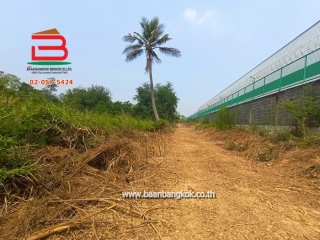 LINE_ALBUM_No.10354 ที่ดินลาดหลุมแก้ว_250331_13
