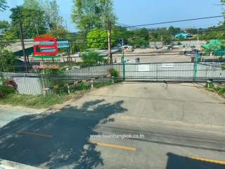 LINE_ALBUM_No.10416 พฤกษา 51_250403_13
