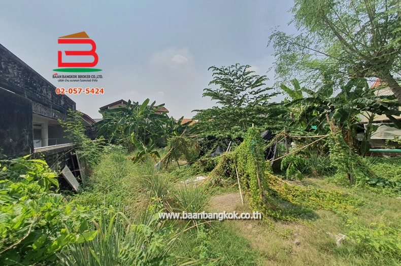 LINE_ALBUM_No.010528 ที่ดินเปล่าซ.ลาดพร้าว83_250331_10