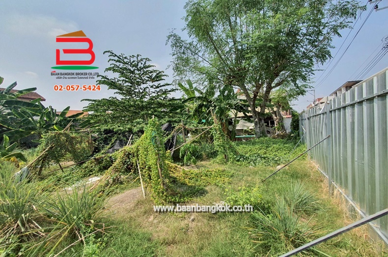 LINE_ALBUM_No.010528 ที่ดินเปล่าซ.ลาดพร้าว83_250331_12