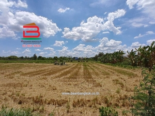 LINE_ALBUM_N10445. LD. 2ไร่2 งาน สามโคก_250428_5